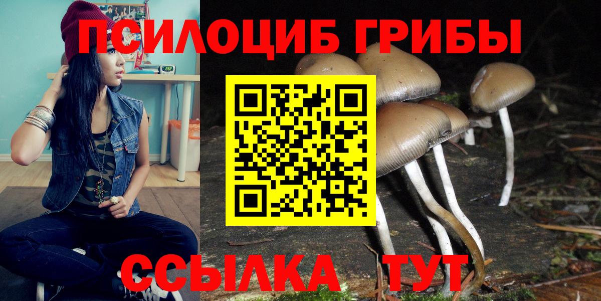 Псилоцибиновые грибы ЛСД  Вход с VPN  Зеленокумск 